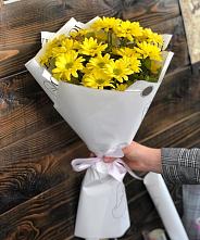 Букет цветов из:  Хризантемы #REPLACE_PRED# Качканаре