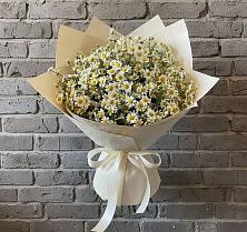 Букет цветов из:  Ромашки #REPLACE_PRED# Качканаре